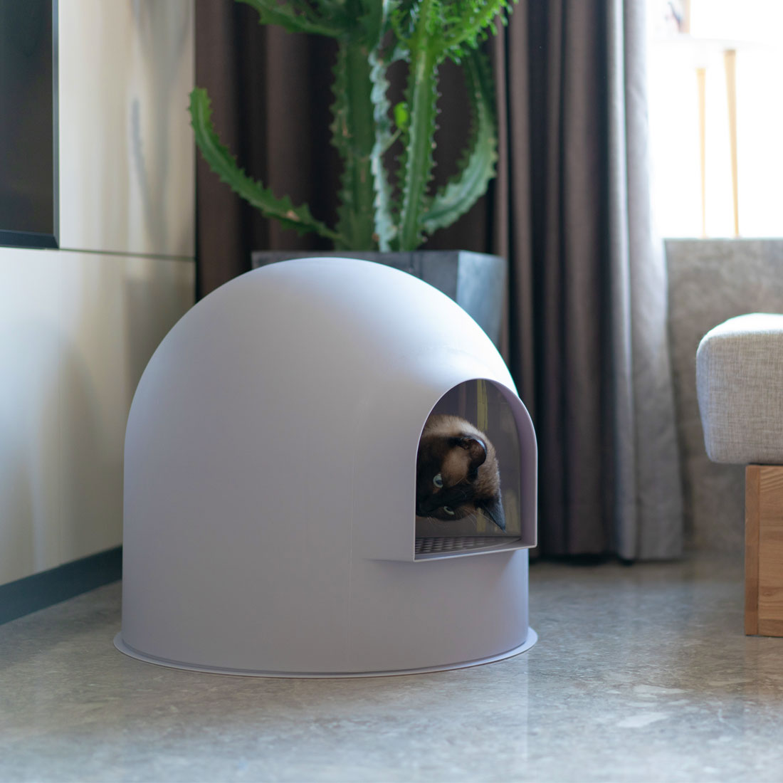 Лотки Для Кошек Интернет Магазин — Salesnip.ru